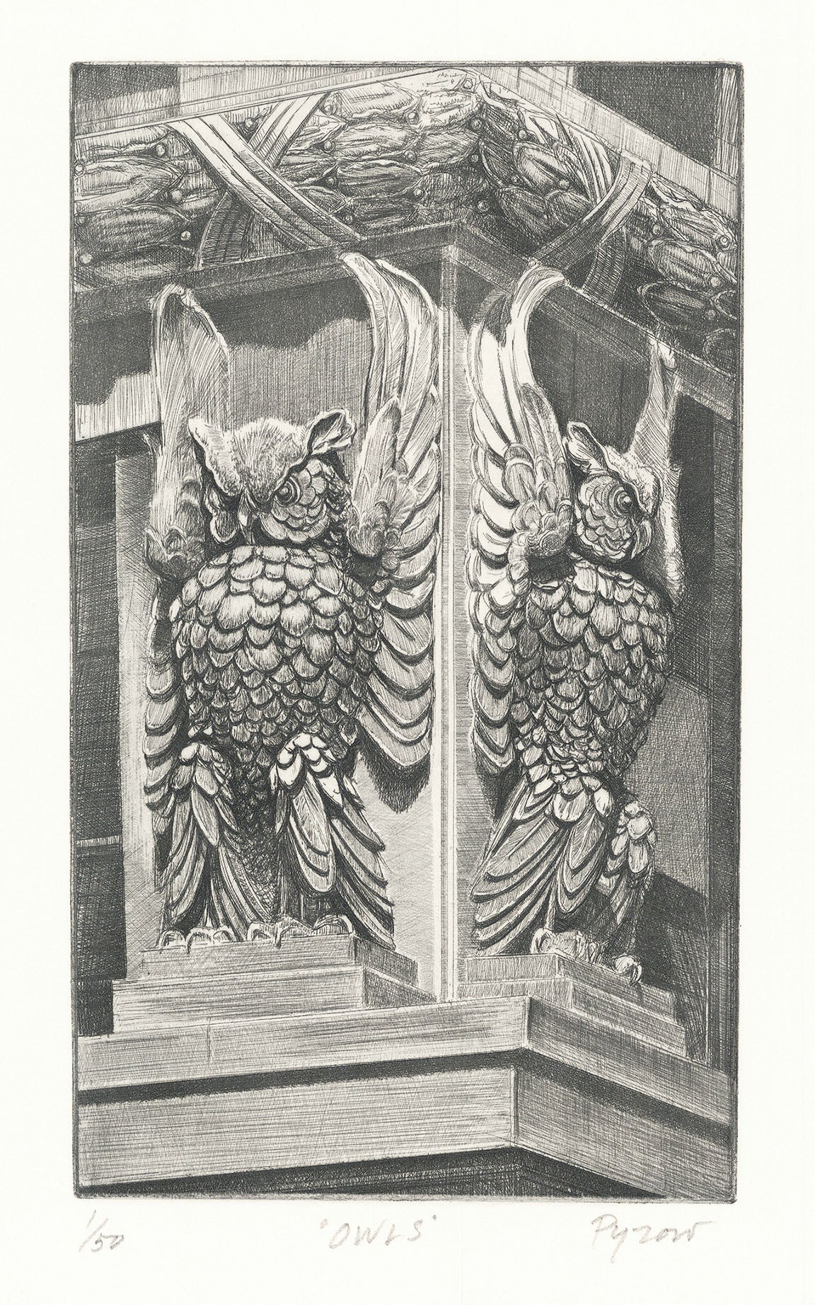 Owls.