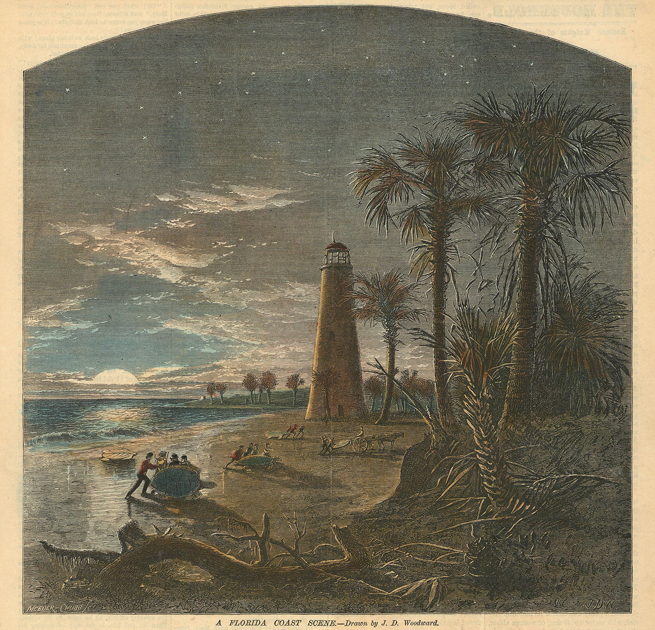 A Florida Coast Scene.