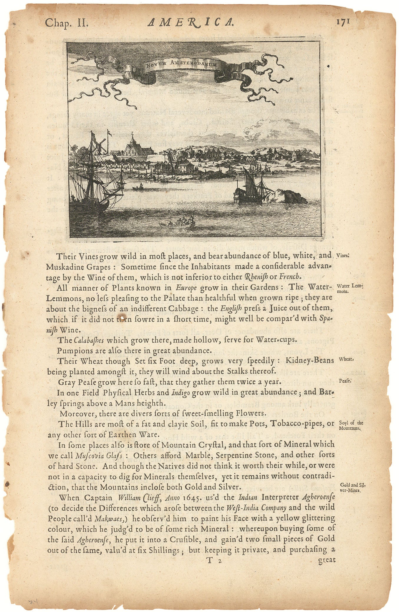 Novum Amsterodamum (New York).