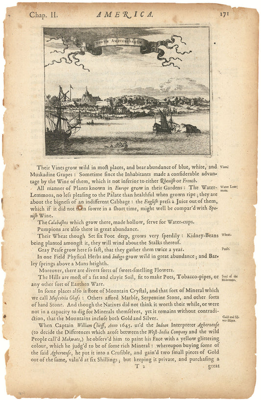 Novum Amsterodamum (New York).