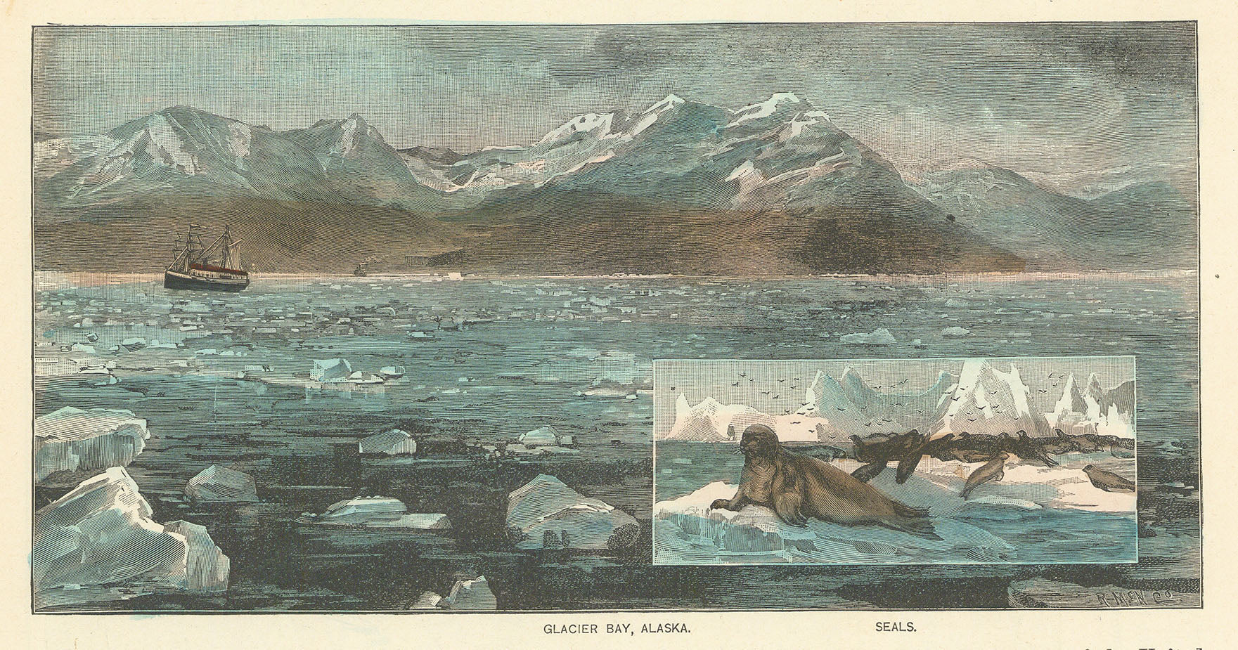 Glacer Bay Alaska.