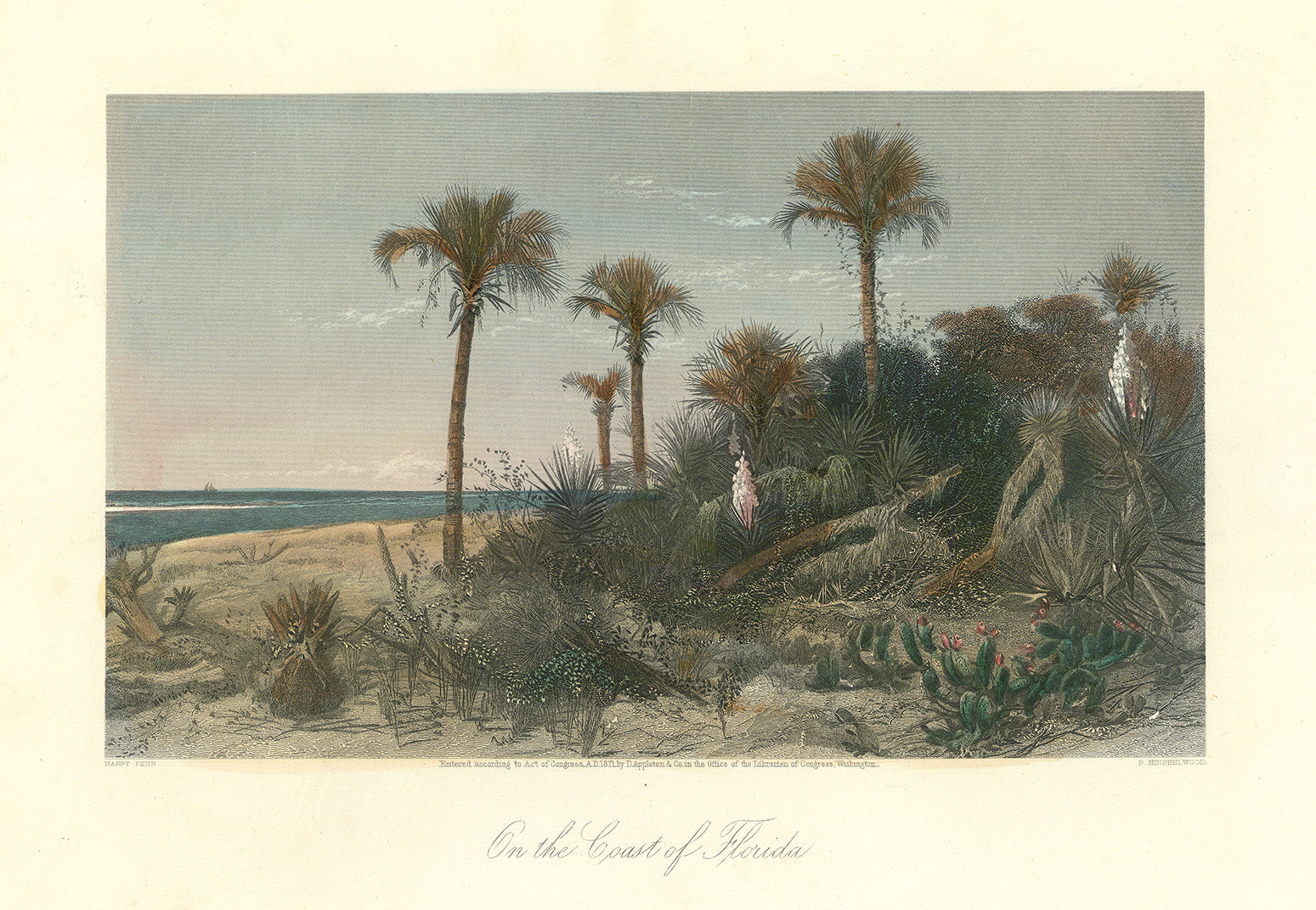 On the Coast of Florida.