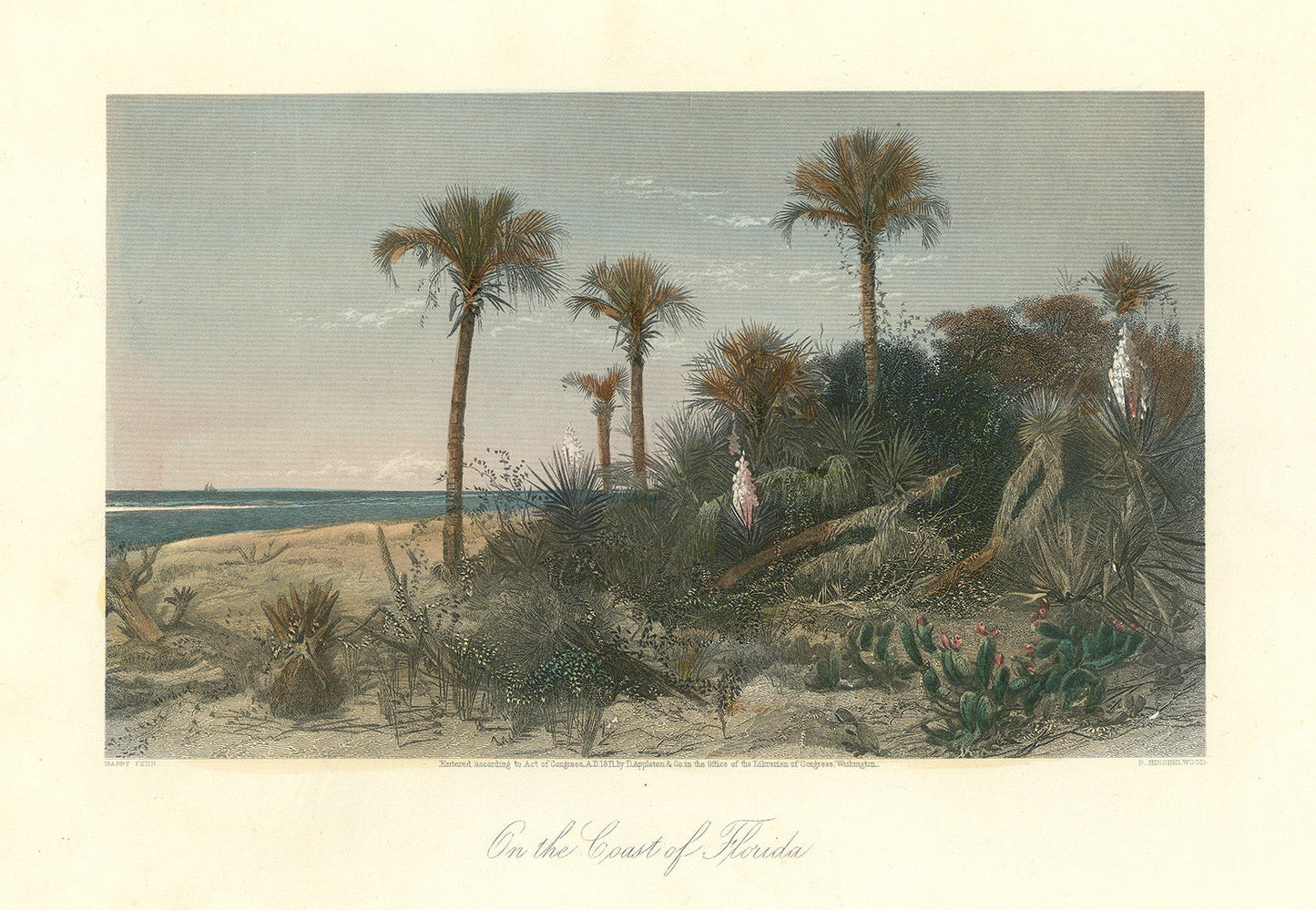 On the Coast of Florida.