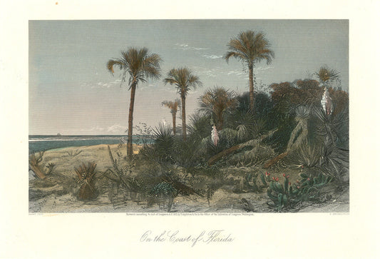 On the Coast of Florida.