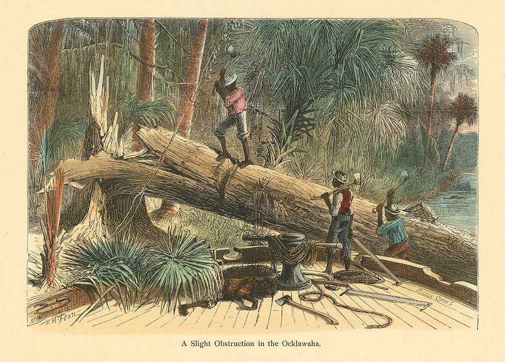 A Slight Obstruction in the Ocklawaha.