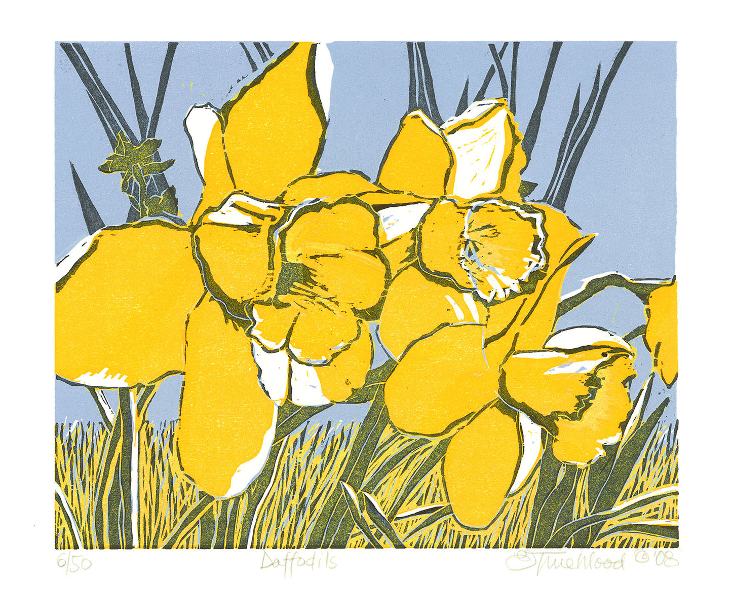 Daffodils.