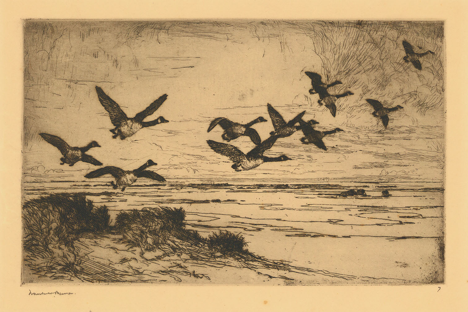 Wild Geese.