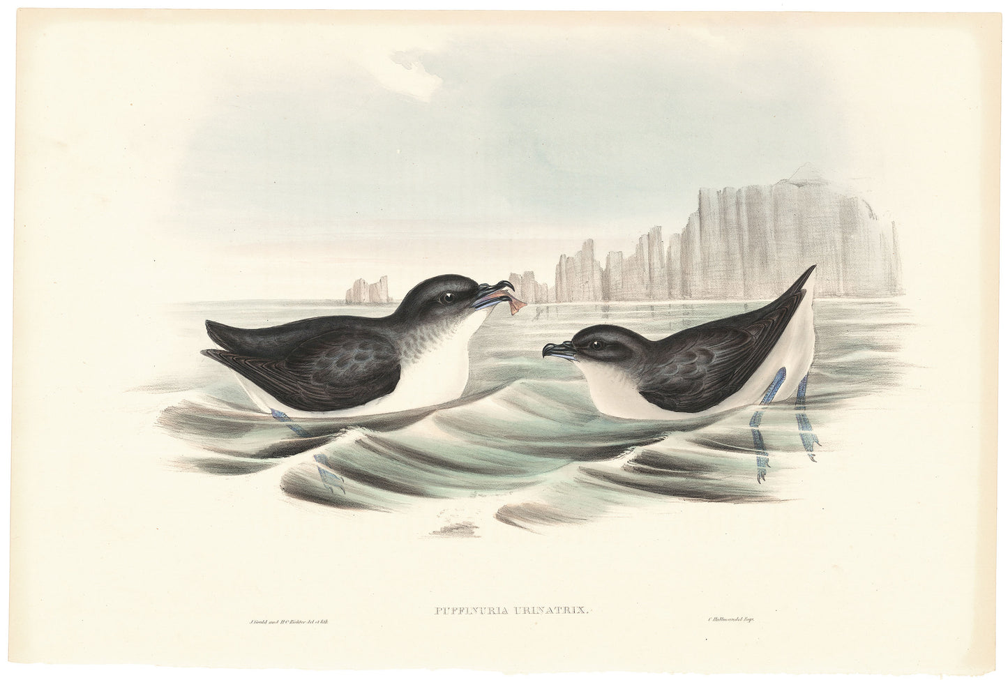 65647 1