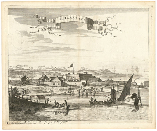 I. Tamaraca. (Brazil)