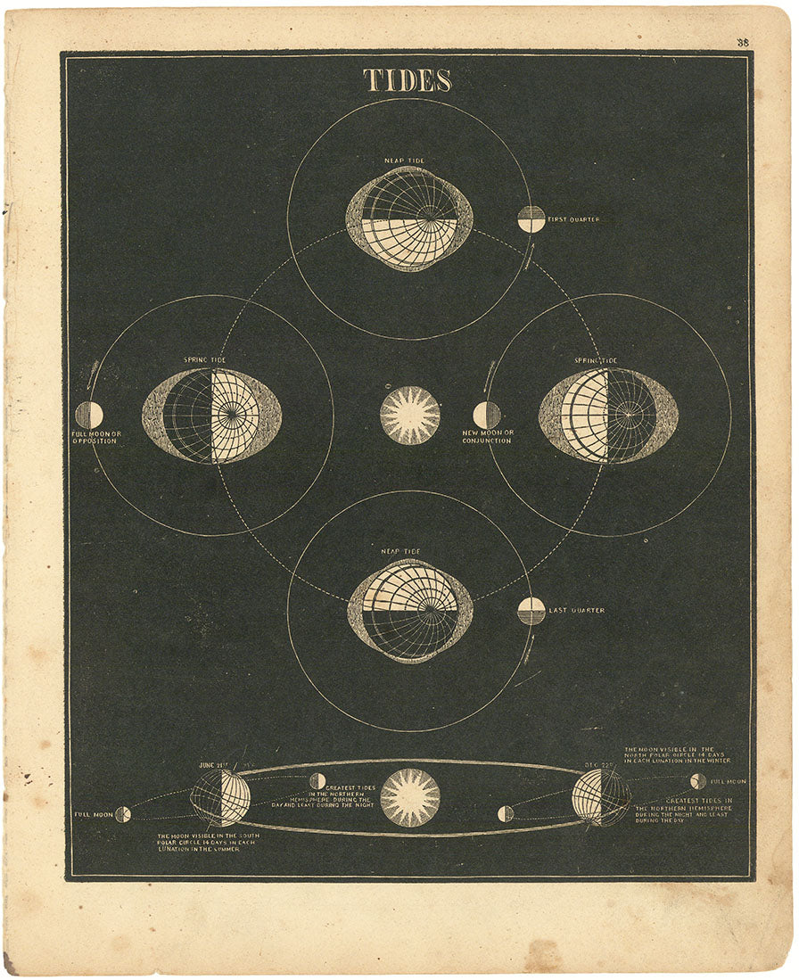 Smith's Explanation of the Tides.
