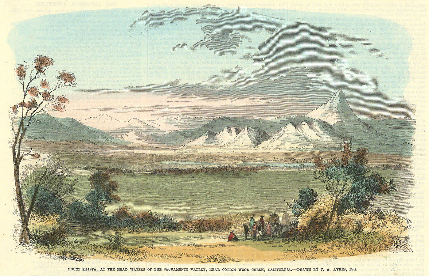 Mount Shasta, at the Head Waters of the Sacramento Valley, Near Cotton Wood Creek, California.