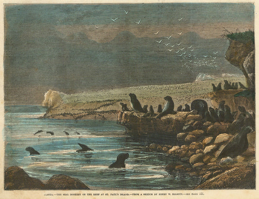 Alaska. - Seal Rookery on the Reef at St. Paul's Island.