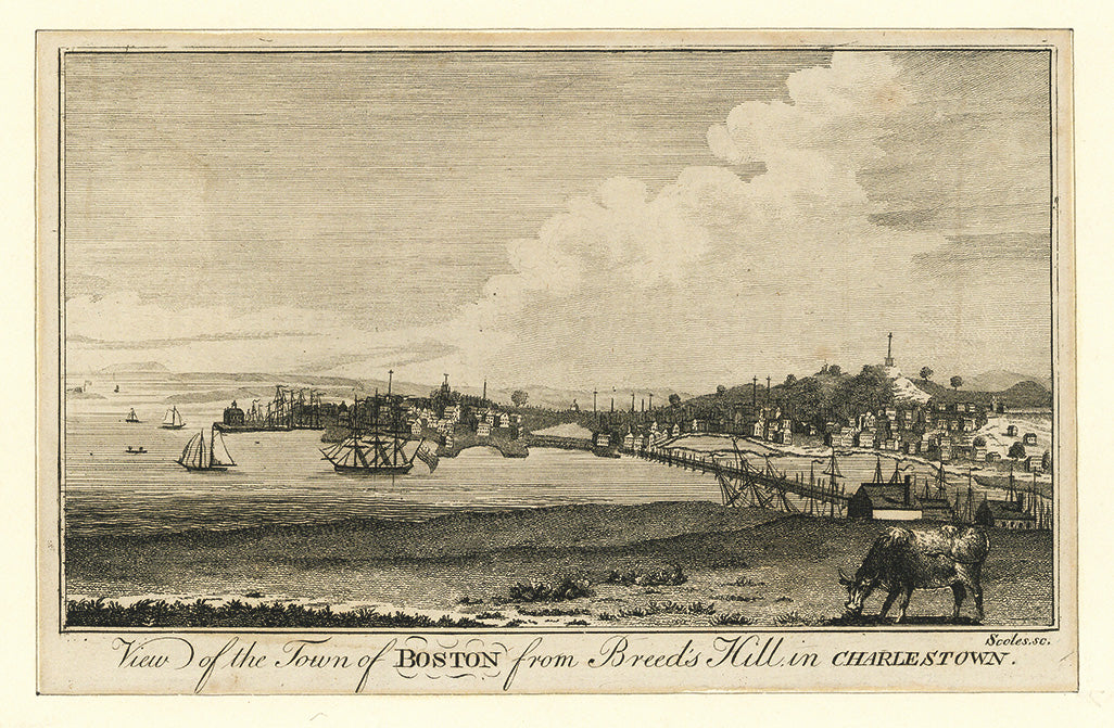 View of the Town of Boston from Breed's Hill in Charlestown.