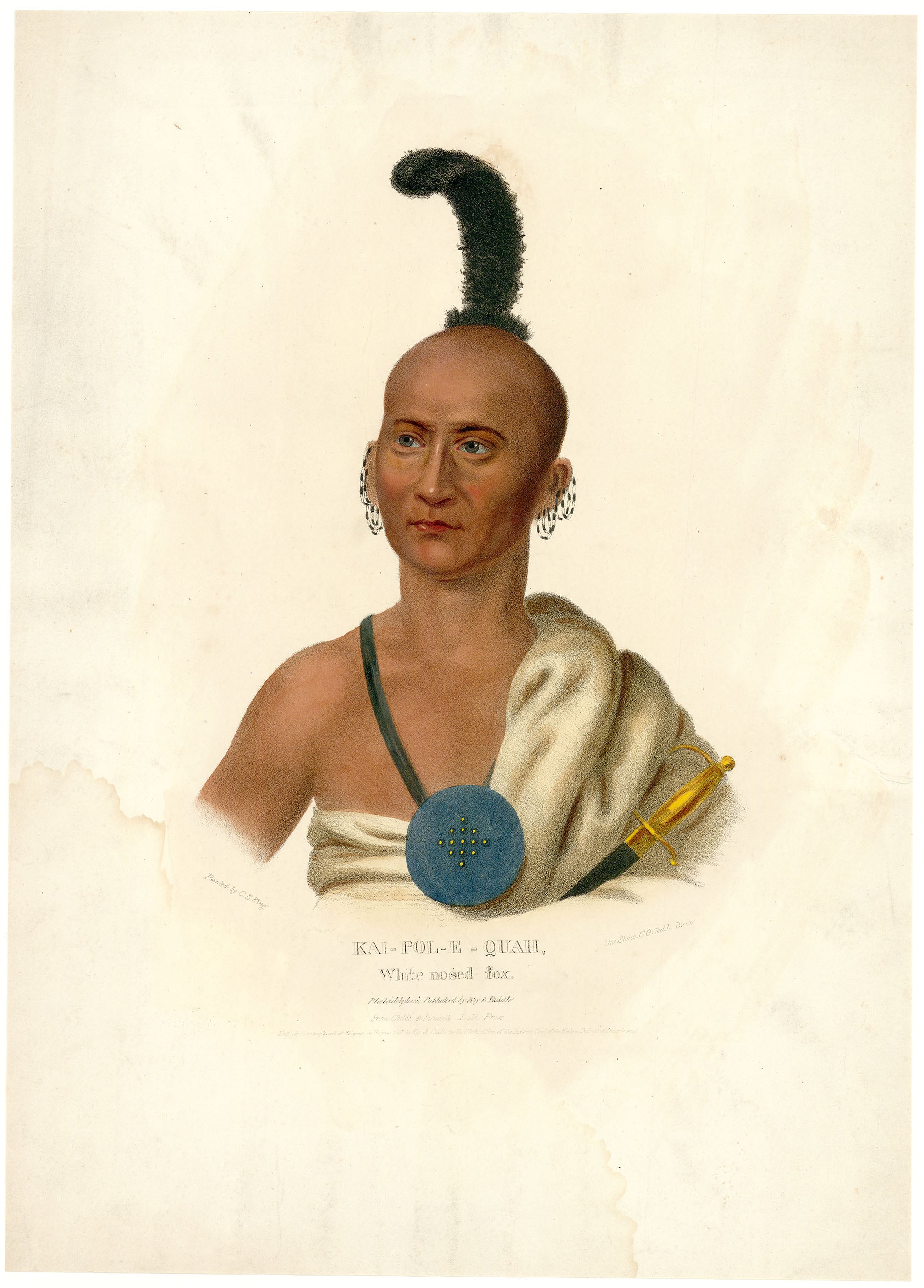 KAI-POL-E-QUAH.  White nosed fox.