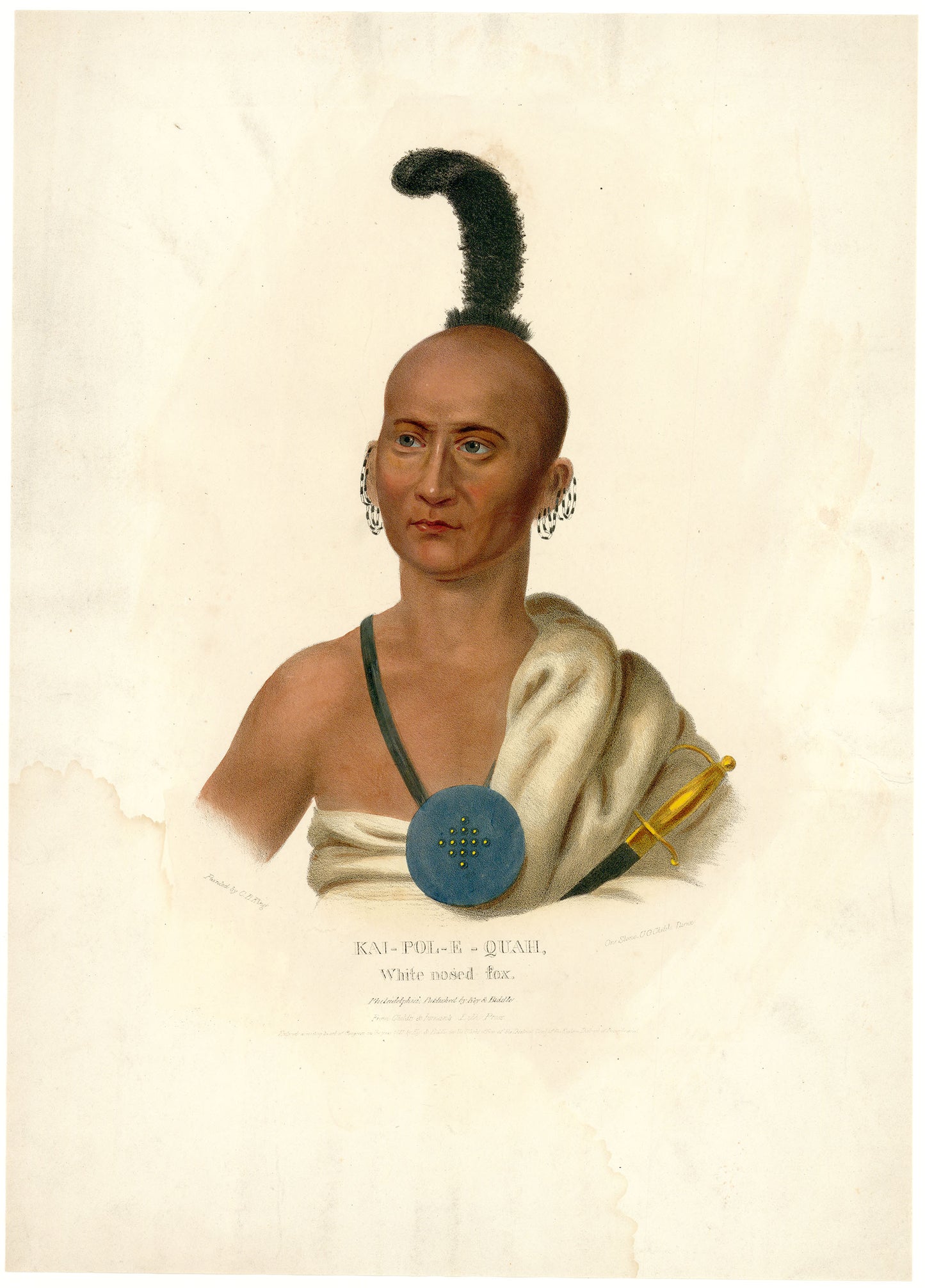 KAI-POL-E-QUAH.  White nosed fox.